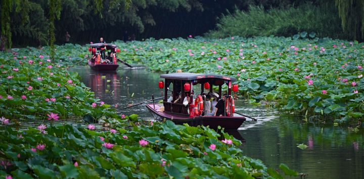 Turistas toman un bote para disfrutar de las flores de loto en el parque Zizhuyuan, en Beijing, capital de China.