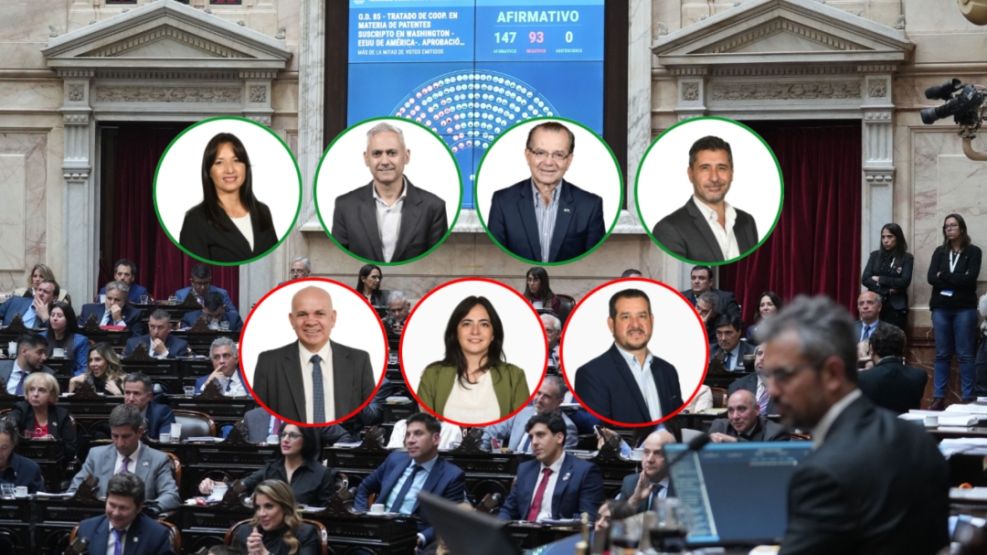 Así votaron los diputados chaqueños