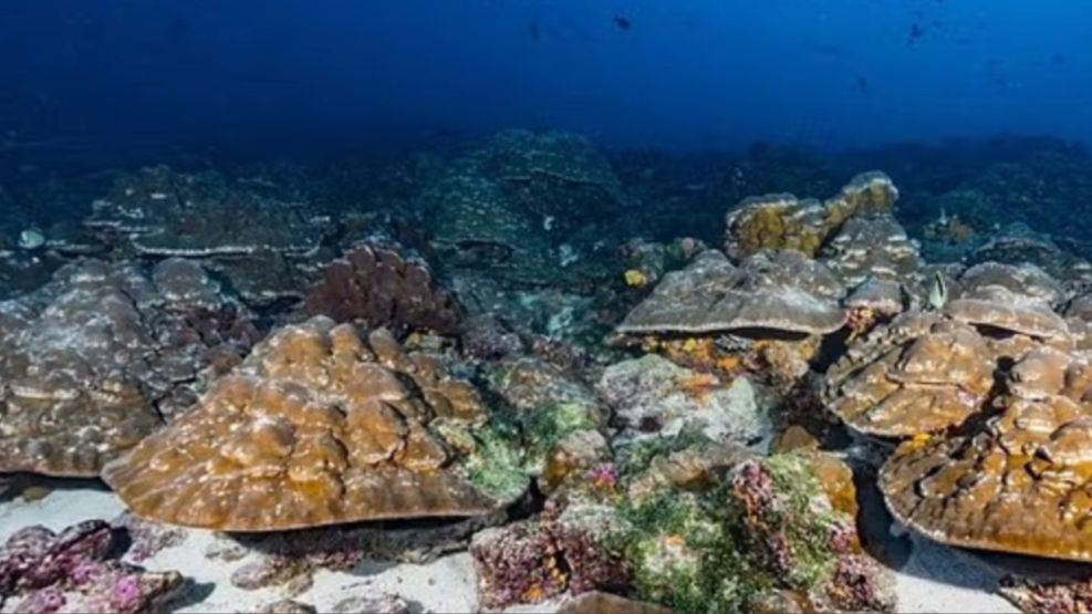 El fenómeno de El Niño es un 40% más fuerte