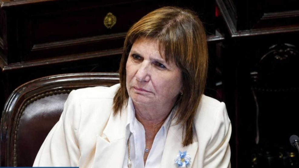 Patricia Bullrich senado 26082026