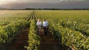 Día Internacional del Cabernet Sauvignon