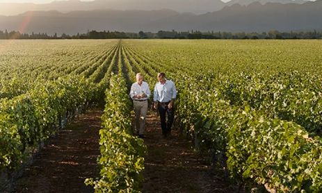 Día Internacional del Cabernet Sauvignon