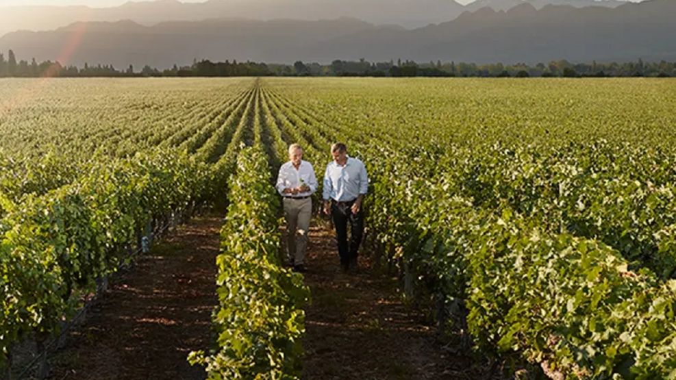 Día Internacional del Cabernet Sauvignon