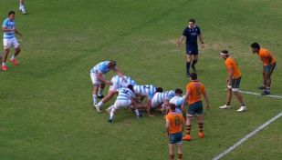 Los Pumas
