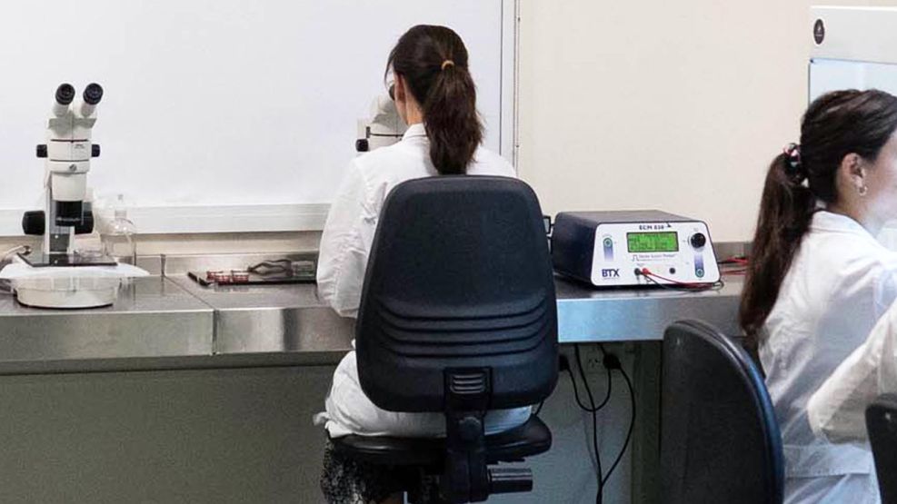290826_ciencia_mujer_genero_xinhua_g
