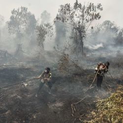 Agentes de policía equipados con material de extinción de incendios sofocan un incendio en una turbera en Tambang, Kampar, provincia de Riau, Indonesia. | Foto:Wahyudi / AFP