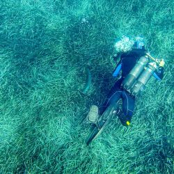 Un buzo de la Dirección Departamental de Tierra y Mar (DDTM) se sumerge para comprobar si las anclas de las embarcaciones de recreo están fijadas en la arena en lugar de en las praderas de posidonia, frente a la costa de la isla de Porquerolles, en el sureste de Francia. En medio de la afluencia de visitantes estivales a la región de Var, la DDTM realiza patrullas para garantizar que las anclas y cadenas de las embarcaciones no dañen el lecho marino ni destrocen los rizomas, o raíces, de las praderas de posidonia, una planta marina que es verdaderamente el "pulmón del Mediterráneo" y una aliada vital en la lucha contra el cambio climático. | Foto:MIGUEL MEDINA / AFP