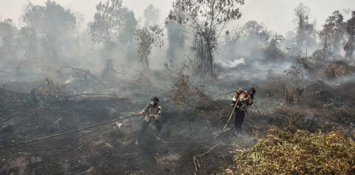 Agentes de policía equipados con material de extinción de incendios sofocan un incendio en una turbera en Tambang, Kampar, provincia de Riau, Indonesia.