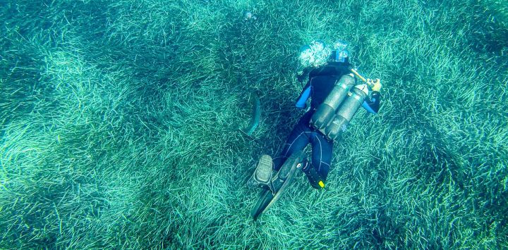 Un buzo de la Dirección Departamental de Tierra y Mar (DDTM) se sumerge para comprobar si las anclas de las embarcaciones de recreo están fijadas en la arena en lugar de en las praderas de posidonia, frente a la costa de la isla de Porquerolles, en el sureste de Francia. En medio de la afluencia de visitantes estivales a la región de Var, la DDTM realiza patrullas para garantizar que las anclas y cadenas de las embarcaciones no dañen el lecho marino ni destrocen los rizomas, o raíces, de las praderas de posidonia, una planta marina que es verdaderamente el "pulmón del Mediterráneo" y una aliada vital en la lucha contra el cambio climático.