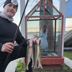 La presencia de numerosos ejemplares y peces que ya alcanzan tallas interesantes constituye una señal alentadora pensando en los próximos meses.