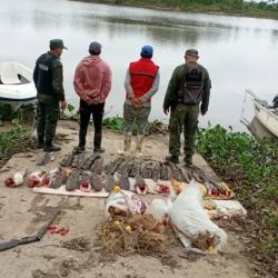 La utilización de redes enmalladoras y la captura de numerosas especies en un sector vedado para la actividad comercial volvió así a poner el foco sobre los controles destinados a combatir la pesca ilegal y proteger los recursos pesqueros del sistema del río Paraná.