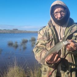 No es una pesca para impacientes porque el comportamiento del pejerrey en Las Gallinas también tiene sus particularidades. Tampoco se trata de pique constante. El pez hace sus pasadas y hay que saber esperarlo. 