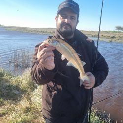 No es una pesca para impacientes porque el comportamiento del pejerrey en Las Gallinas también tiene sus particularidades. Tampoco se trata de pique constante. El pez hace sus pasadas y hay que saber esperarlo. 