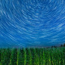 Imagen compuesta de campos de maíz bajo el cielo estrellado, en el distrito de Jiayin de la ciudad de Yichun, en la provincia de Heilongjiang, en el noreste de China. | Foto:Xinhua/Li Shaojun