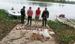 Depredación pesquera: decomisaron 39 surubíes y redes en una zona donde está prohibida la pesca comercial