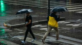 Cuando llegan las lluvias