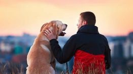Régimen Sanitario Provincial para la Inhumación Conjunta de Personas Humanas y Animales de Compañía