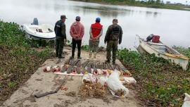 La utilización de redes enmalladoras y la captura de numerosas especies en un sector vedado para la actividad comercial volvió así a poner el foco sobre los controles destinados a combatir la pesca ilegal y proteger los recursos pesqueros del sistema del río Paraná.