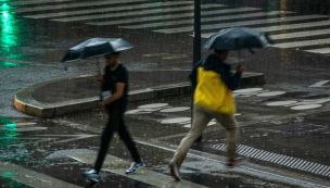 Cuando llegan las lluvias