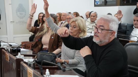 El oficialismo pidió una extraordinaria para suspender las PASO y avanzar con el RINI