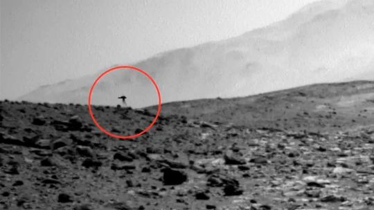 La NASA detectó una “medusa” en el horizonte de Marte: las principales hipótesis