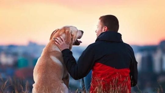 Régimen Sanitario Provincial para la Inhumación Conjunta de Personas Humanas y Animales de Compañía