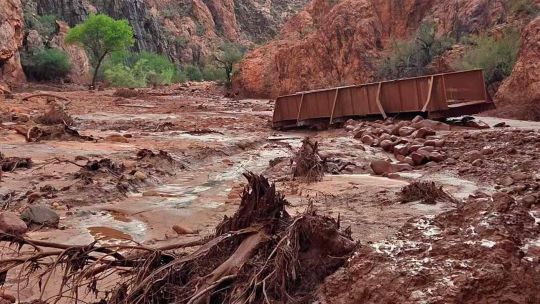 Inundación repentina en el Gran Cañon deja más de 20 desaparecidos y un muerto