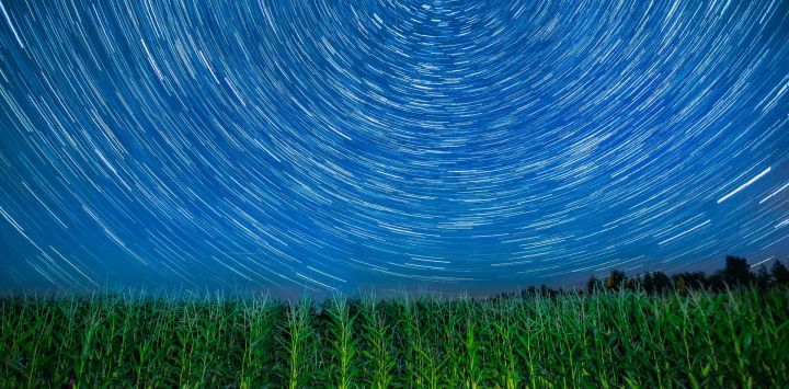 Imagen compuesta de campos de maíz bajo el cielo estrellado, en el distrito de Jiayin de la ciudad de Yichun, en la provincia de Heilongjiang, en el noreste de China.