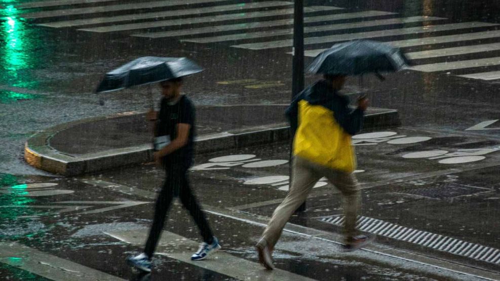 Cuando llegan las lluvias