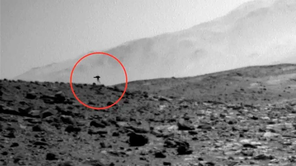 La NASA detectó una “medusa” en el horizonte de Marte: las principales hipótesis