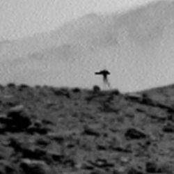 En la fotografía se distingue una mancha oscura dotada de un cuerpo abultado y apéndices que asemejan tentáculos suspendidos.