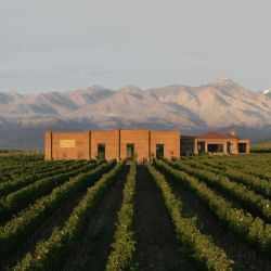 Bodega Andeluna en Delirio