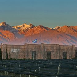 Bodega Andeluna en Delirio