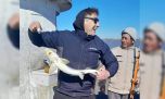 Otra vez apareció un esturión en el Río de la Plata: lo pescaron mientras buscaban pejerreyes