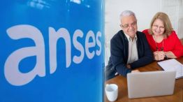 Anses