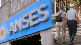 Anses
