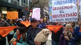 Maltrato animal 01092026