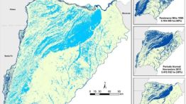 superficie de agua en corrientes