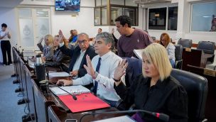 Concejo de Resistencia