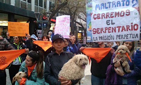 Maltrato animal 01092026