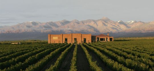 Una bodega ideal 