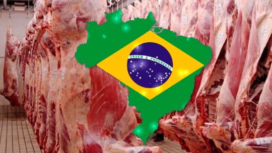 Golpe a la carne brasileña: la Unión Europea suspende las importaciones y despierta la tensión con el Mercosur