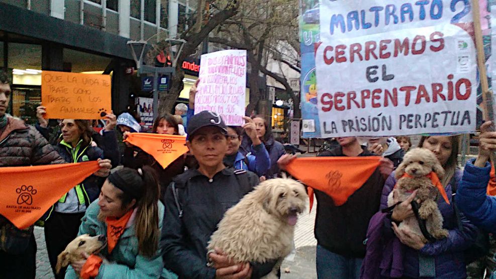 Maltrato animal 01092026
