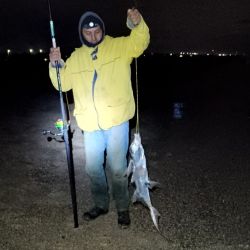 La experiencia de los pescadores de la zona indica que el período comprendido entre una hora antes y una hora después de la pleamar suele marcar una diferencia importante en el pique del pez elefante