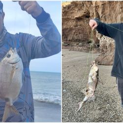 La experiencia de los pescadores de la zona indica que el período comprendido entre una hora antes y una hora después de la pleamar suele marcar una diferencia importante en el pique del pez elefante