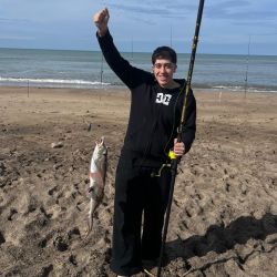 La experiencia de los pescadores de la zona indica que el período comprendido entre una hora antes y una hora después de la pleamar suele marcar una diferencia importante en el pique del pez elefante