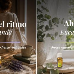 Un botiquín de aromas para el bienestar cotidiano | Foto:CONTENT NOTICIAS