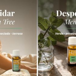 Un botiquín de aromas para el bienestar cotidiano | Foto:CONTENT NOTICIAS