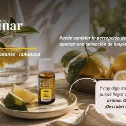 Un botiquín de aromas para el bienestar cotidiano | Foto:CONTENT NOTICIAS