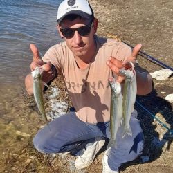 A días de la primavera y con el inicio de la veda en distintas provincias, el pejerrey sigue siendo un imán para los cañófilos.